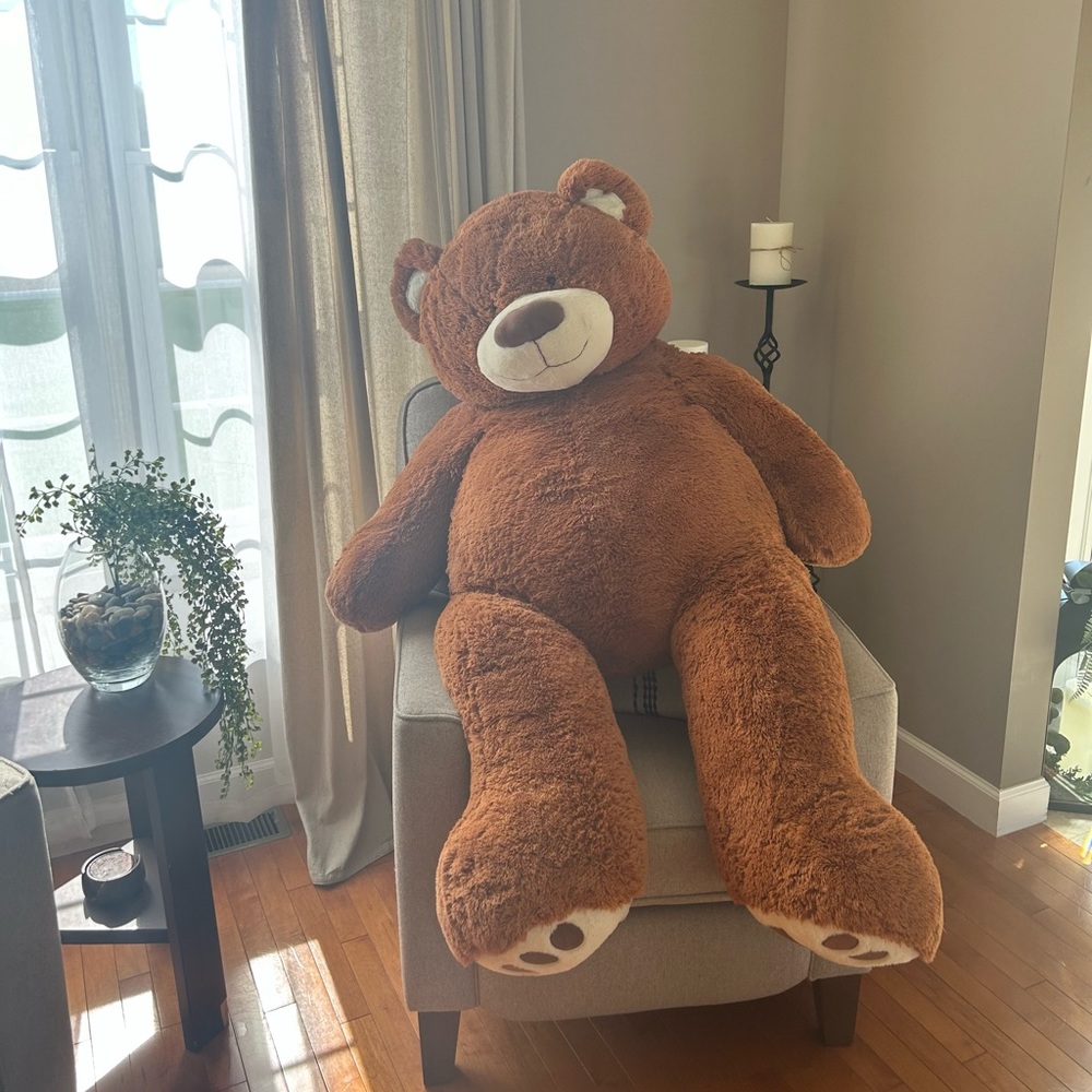 Giant Costco Teddy Bear